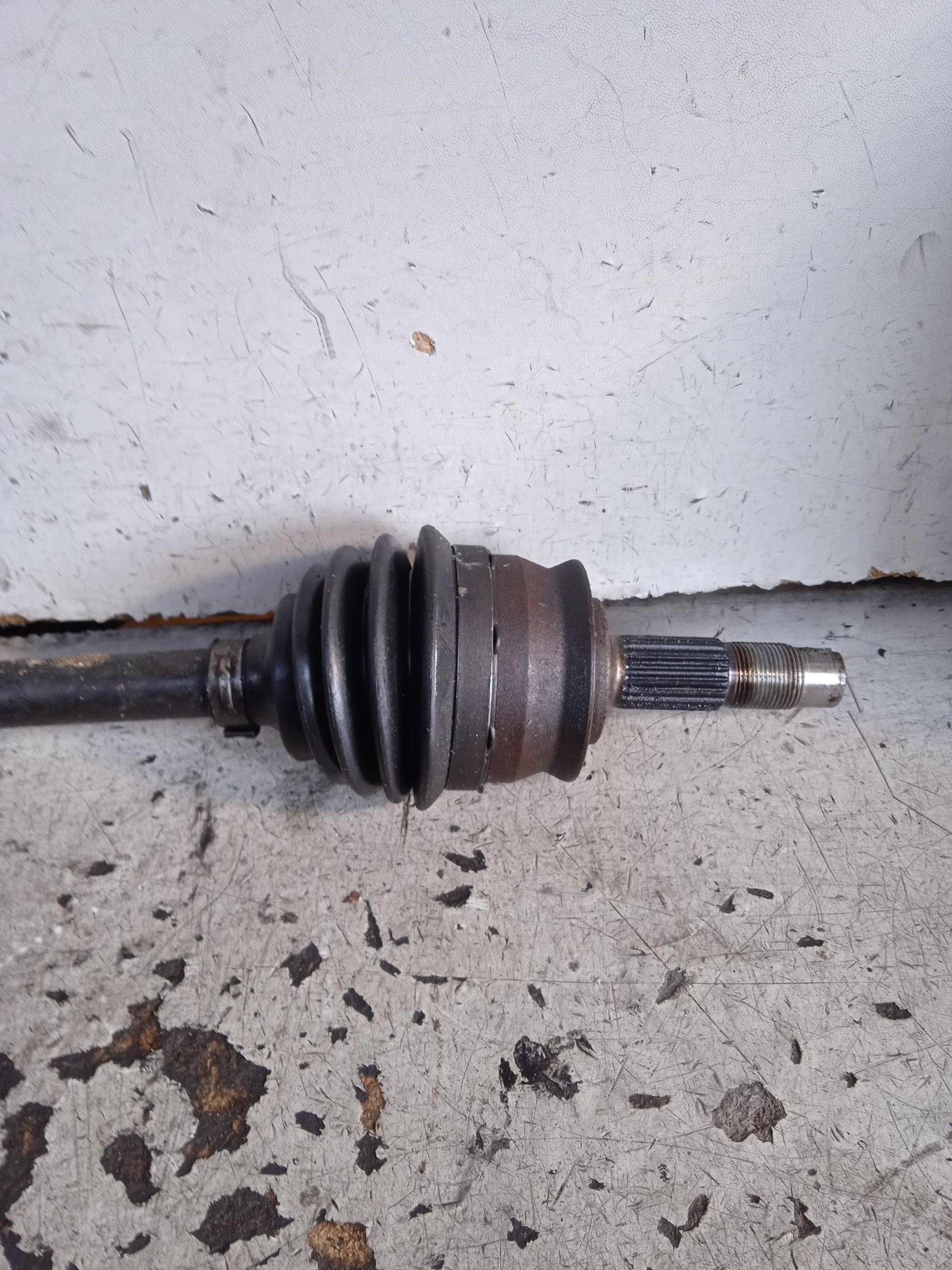 Semialbero ant. compl. dx.